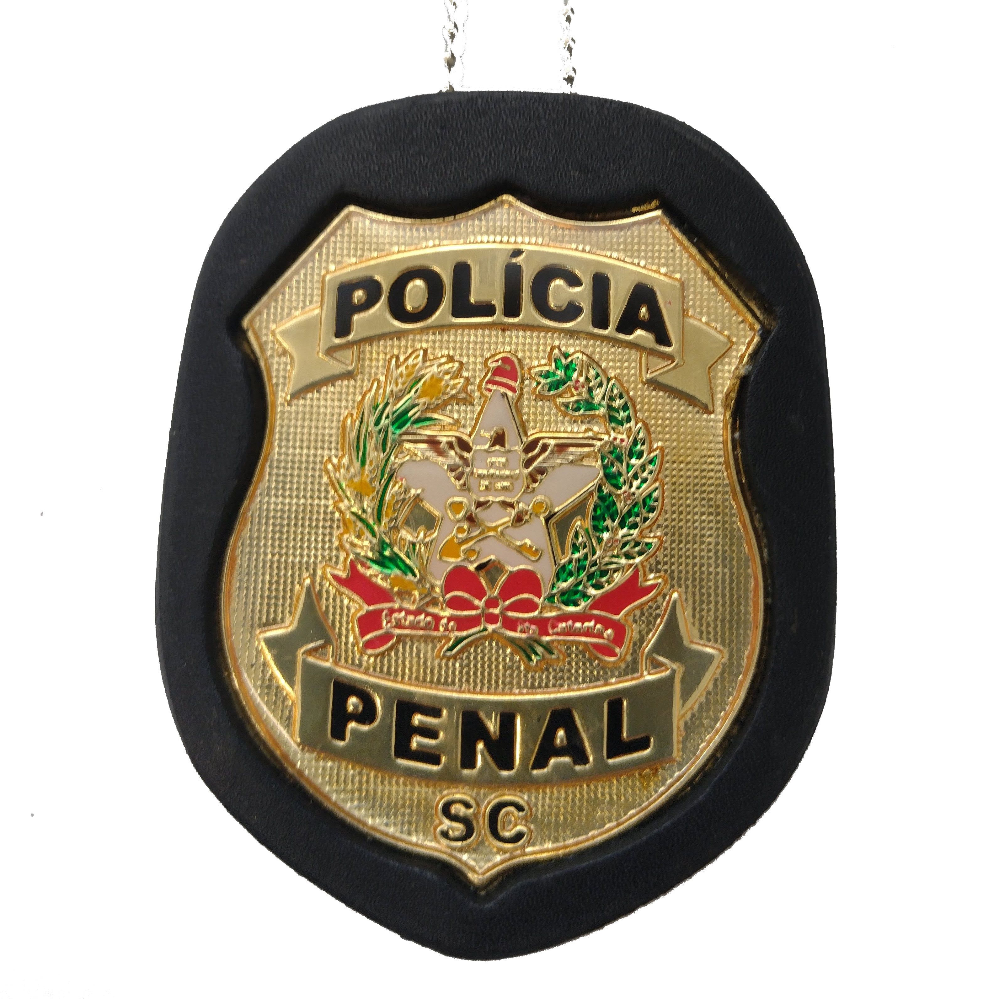 DISTINTIVO POLICIA PENAL PRETO E DOURADO